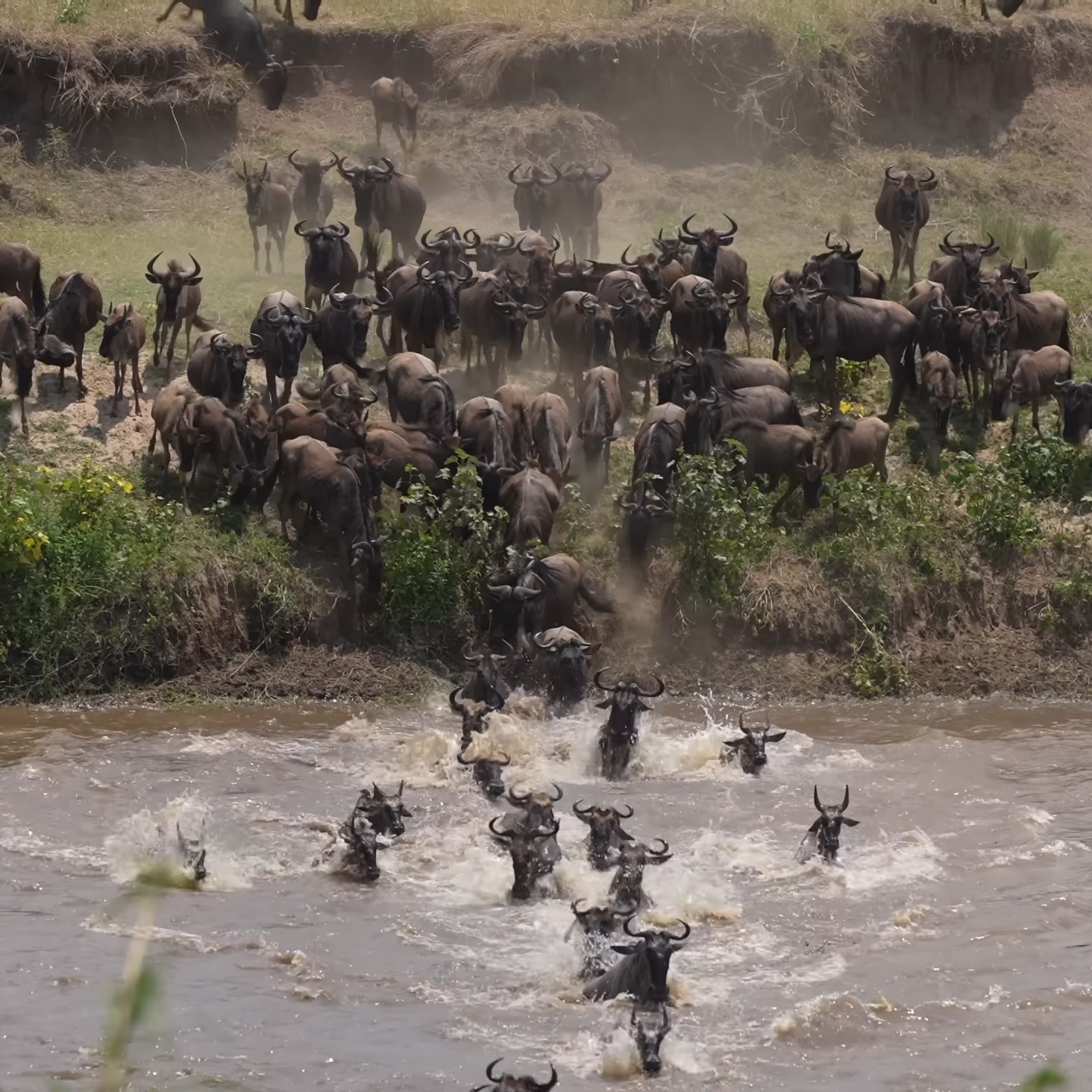The Great Migration Mara & Serengeti
