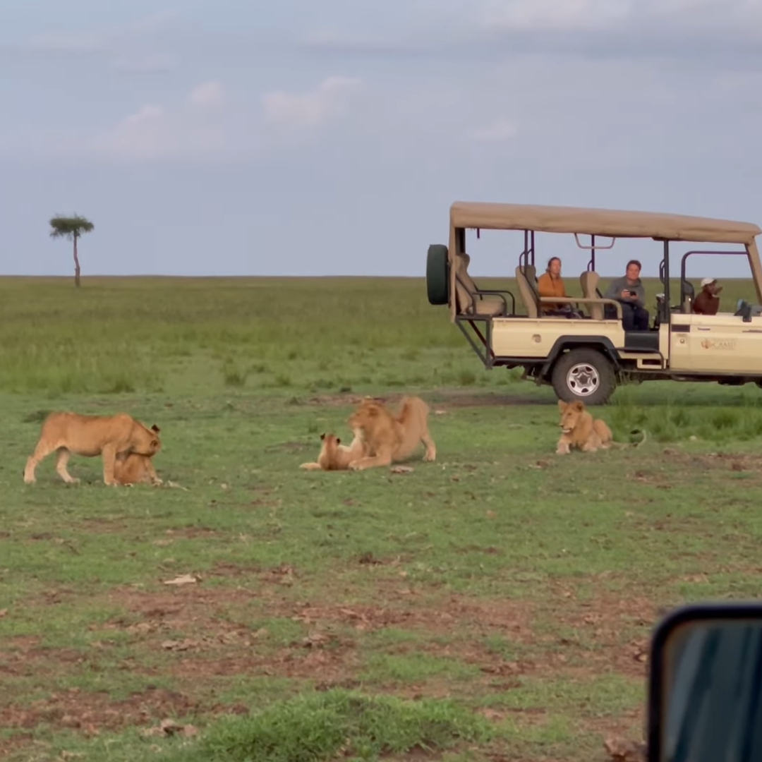 4x4 Kenya Classic Safari Car Rental_Car Rental Road Trips