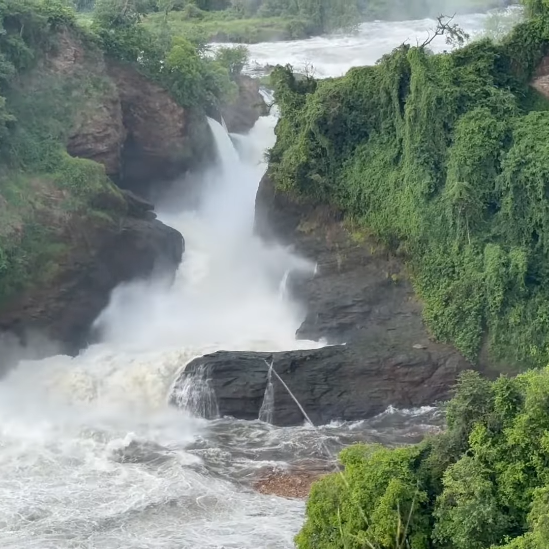 Entebbe City Tour_Uganda Self-Drive 1-Week Trip
