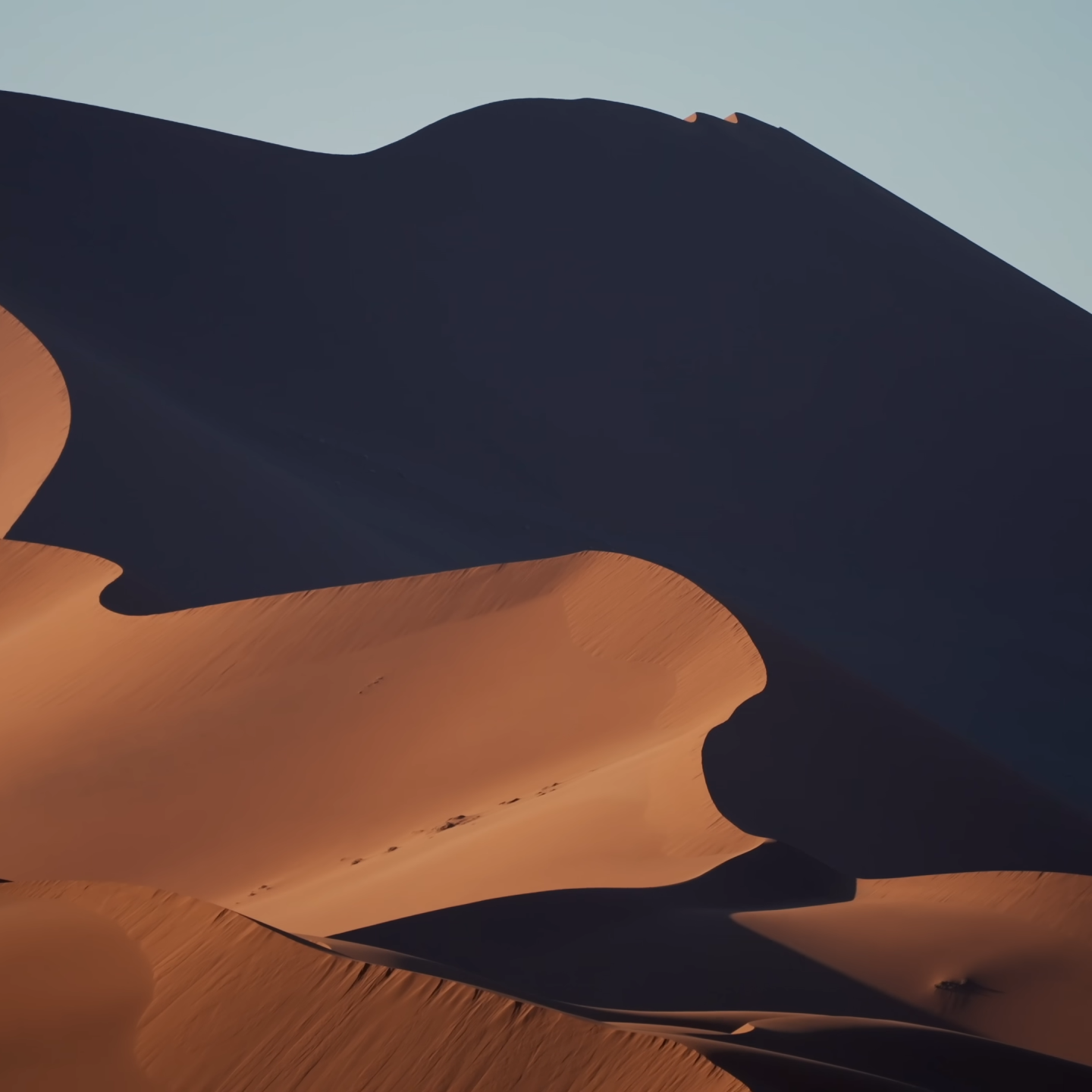 Sand Dunes in the Namib Desert