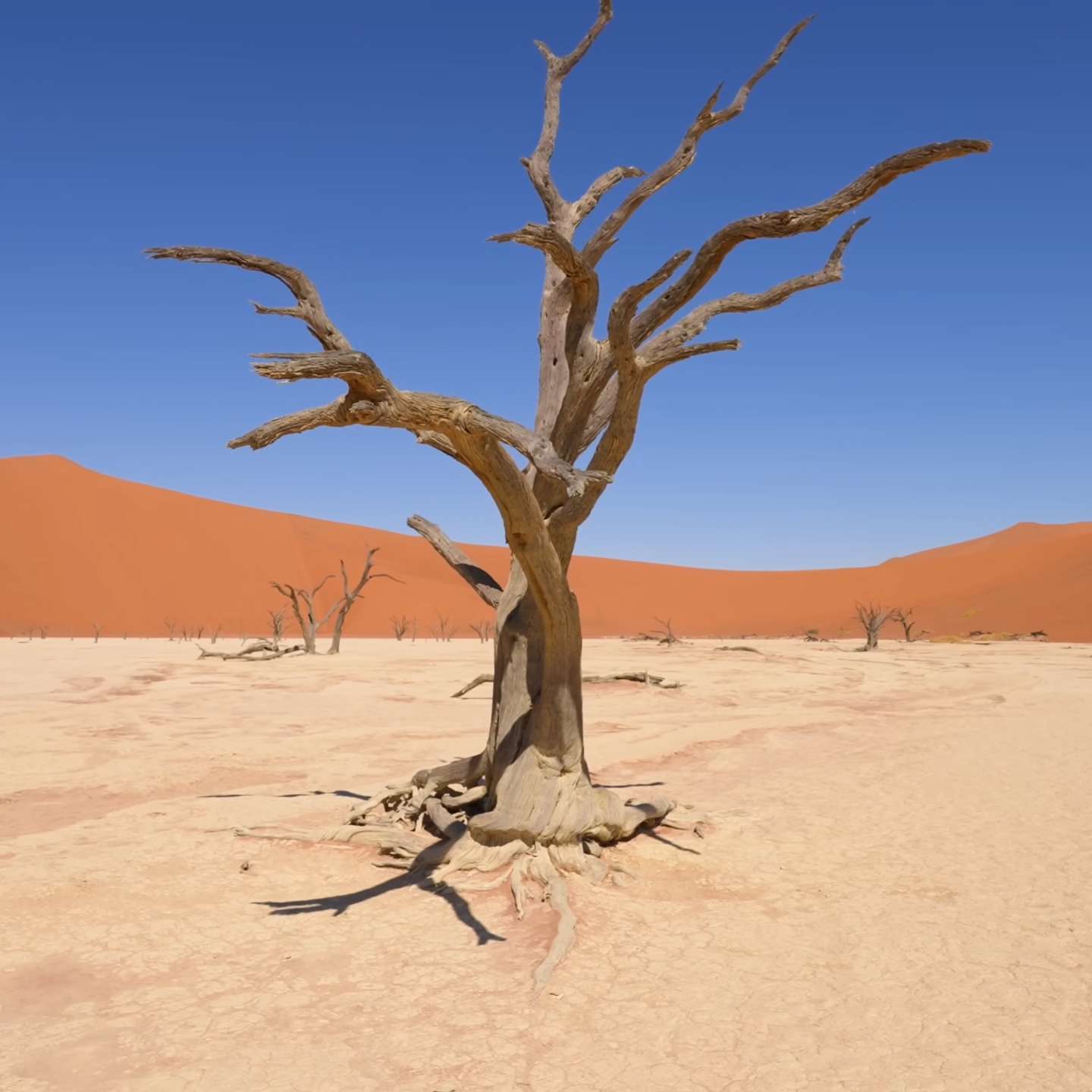 Namib Dessert_Namibia Tours_Care Rental Road Trips