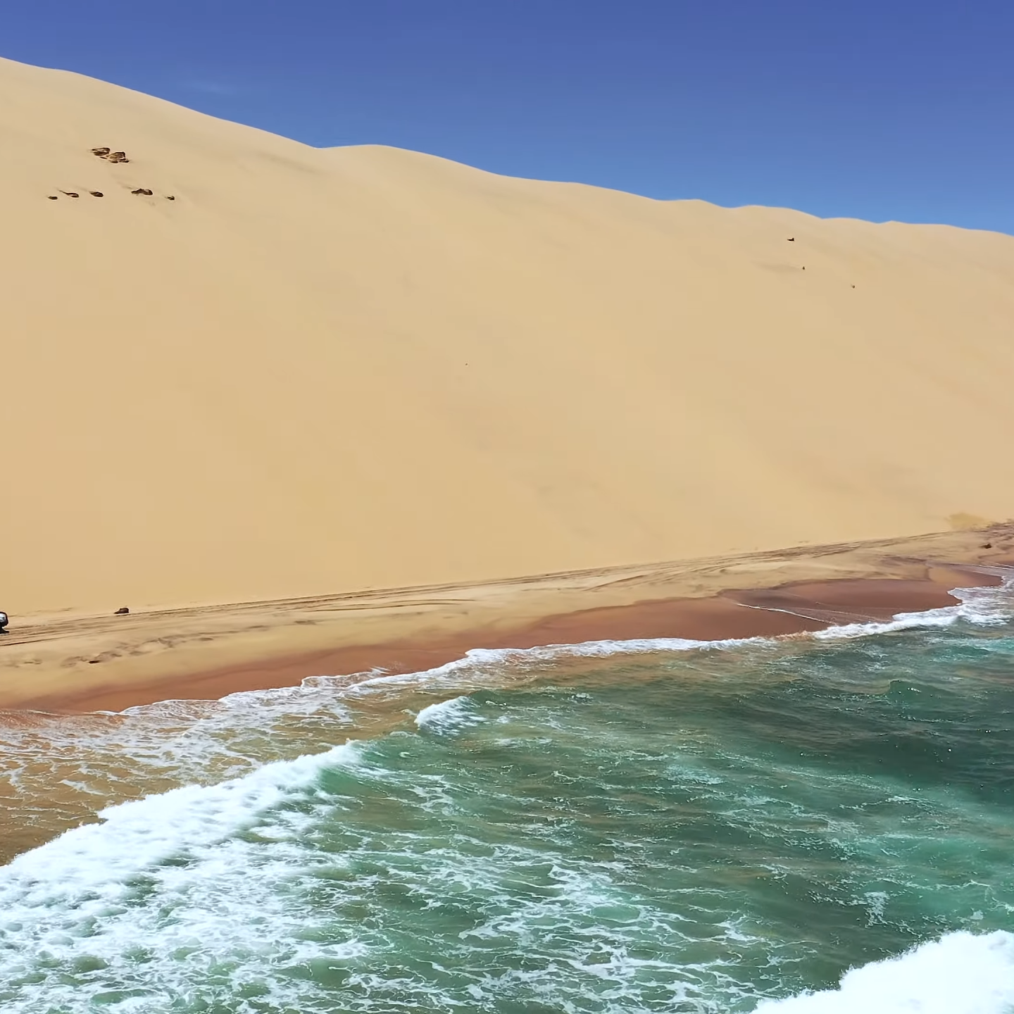 Namib Desert Lake Shores