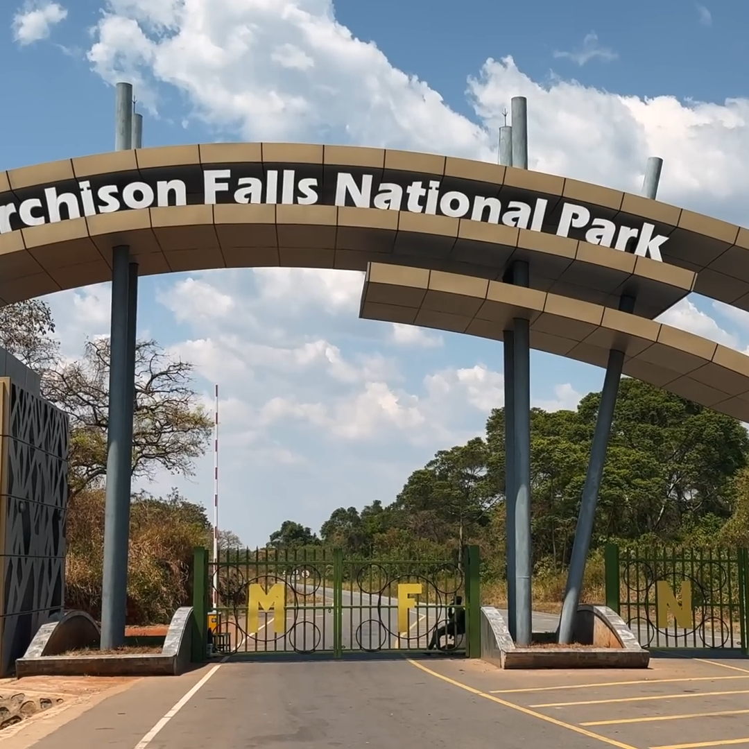 Murchison Falls National Park Uganda_Car Rental Road Trips