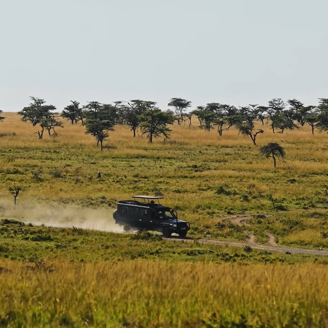 Safari vehicle driving through the savannah landscape in Murchison Falls National Park, Uganda.